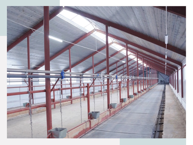 Строительство коровников в Норильске от 623 руб.