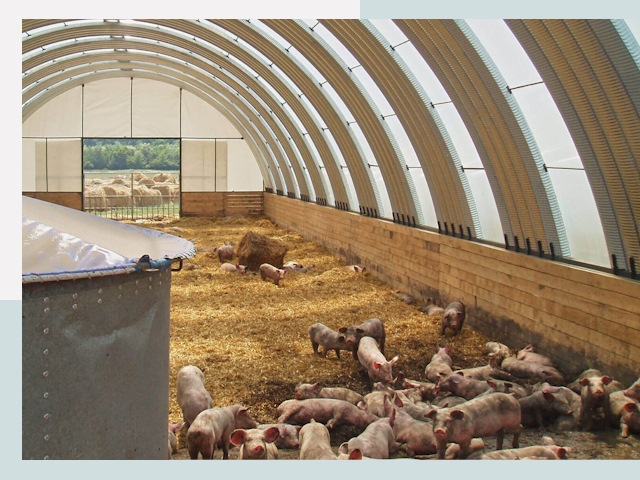 Строительство свинарников в Норильске